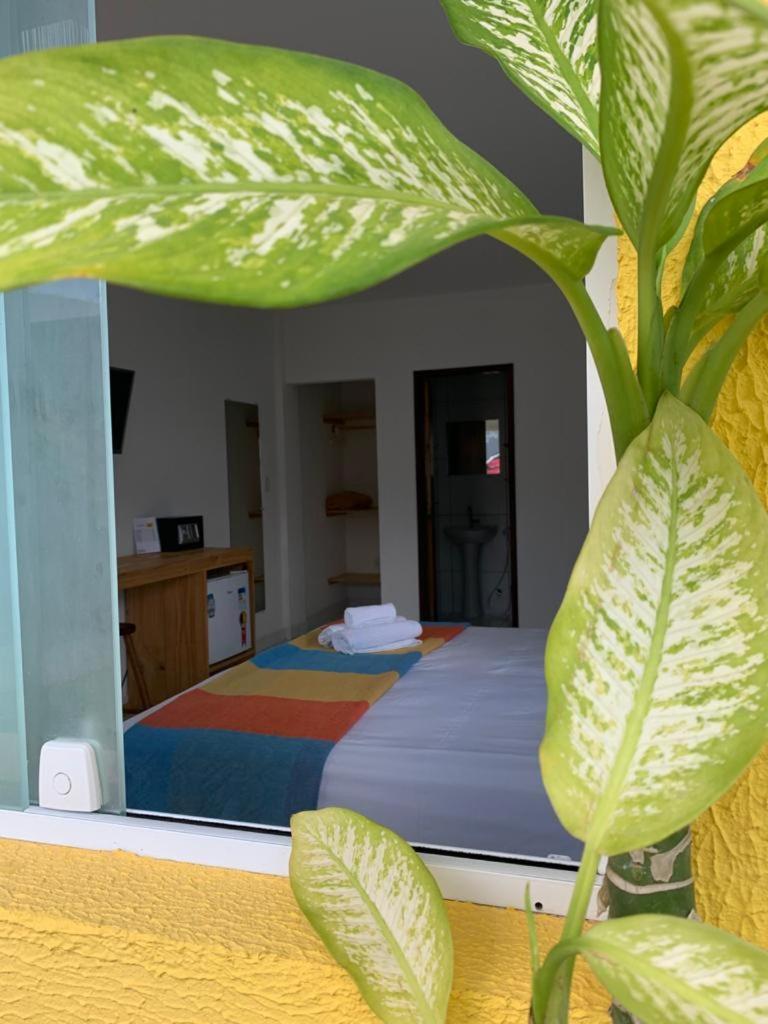 Suits Praia Bonita Em Milagres Hotel เซามิเกลโดสมีลาเกรส ห้อง รูปภาพ